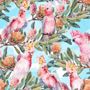 05 Pink Cockatoo Blue Bushland Chorus (5040)