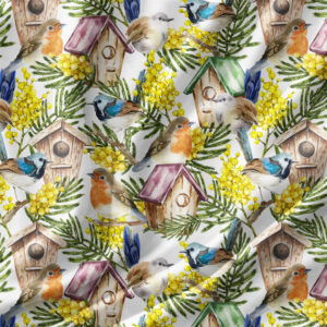 09 Wren White Bushland Chorus (5040)