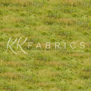 01 Grass Texture Theory (5091)