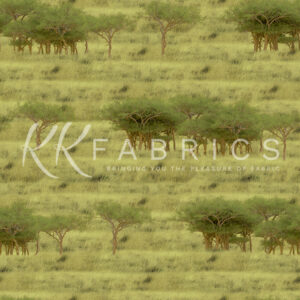 02 Grassland Texture Theory (5091)