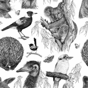 03 Aussie Animals Wildlife & Wildflowers B&W (5096)