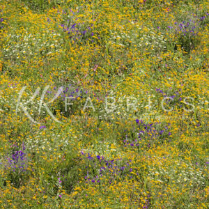 03 Wildflower Texture Theory (5091)