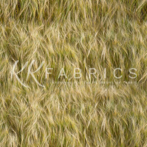 04 Barley Texture Theory (5091)