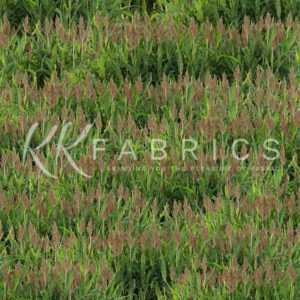 05 Sorghum Texture Theory (5091)