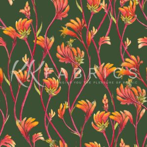 06 Kangaroo Paws Green Wildlife & Wildflowers (5095)