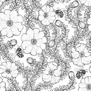 07 Hibbertia and Bees White Wildlife & Wildflowers B&W (5096)