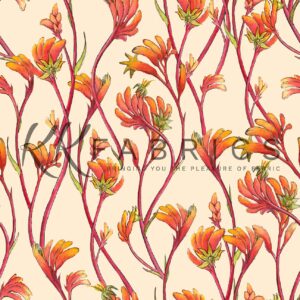 08 Kangaroo Paws Desert Sand Wildlife & Wildflowers (5095)