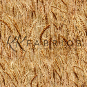 08 Wheat Texture Theory (5091)