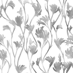 10 Kangaroo Paws White Wildlife & Wildflowers B&W (5096)
