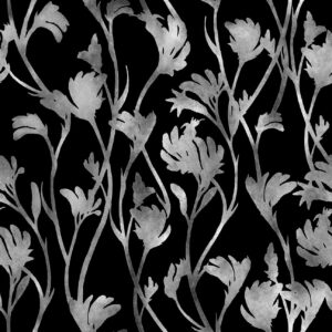11 Kangaroo Paws Black Wildlife & Wildflowers B&W (5096)