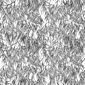 16 Gumleaf White Drawn Down Under (5078)