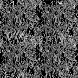 18 Gumleaf Black Drawn Down Under (5078)