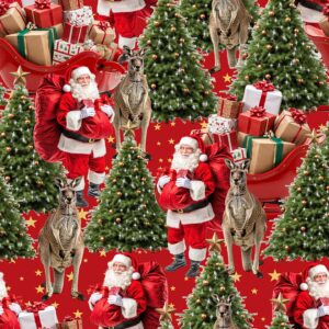 D Kangaroos Christmas (5101)