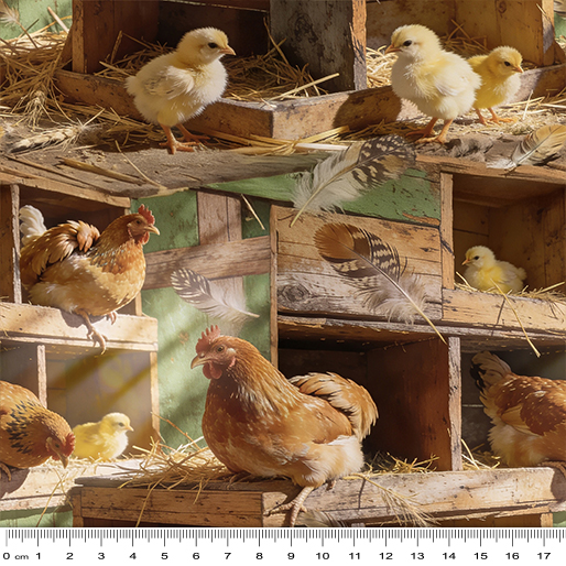 06 Insude the Coop Hen House (6073)